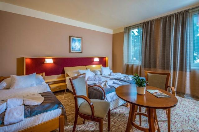 Dráva Hotel Thermal Resort