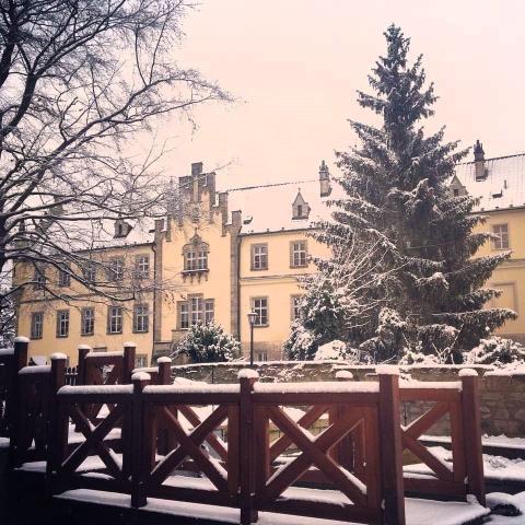 Zámecký Hotel Hrubá Skála