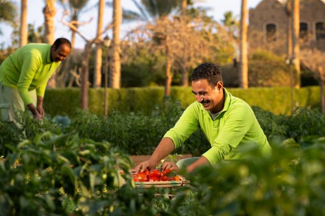 Hotel Movenpick Resort El Quseir