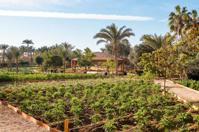 Hotel Movenpick Resort El Quseir