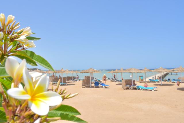 Hotel Jasmine Palace Resort