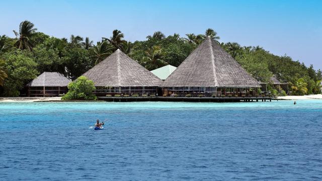 Gangehi Island Resort
