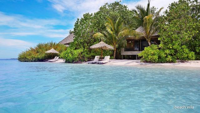 Gangehi Island Resort