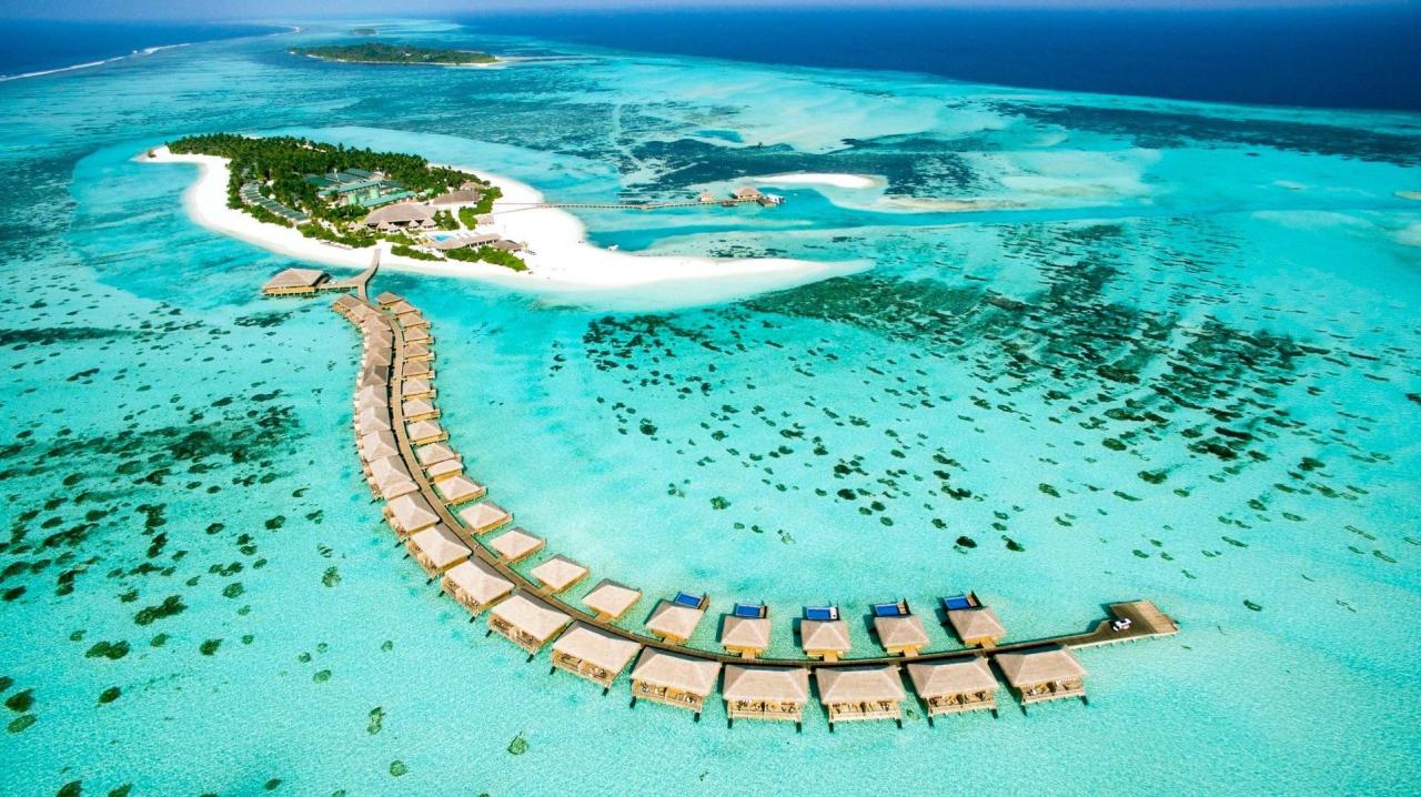 Hotel Cocoon Maldives
