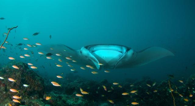 Hotel Diamonds Thudufushi