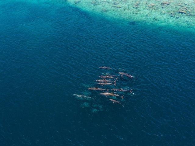 Hondaafushi Island Resort