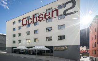 Ochsen 2