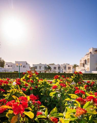 Hotel Mercure Hurghada