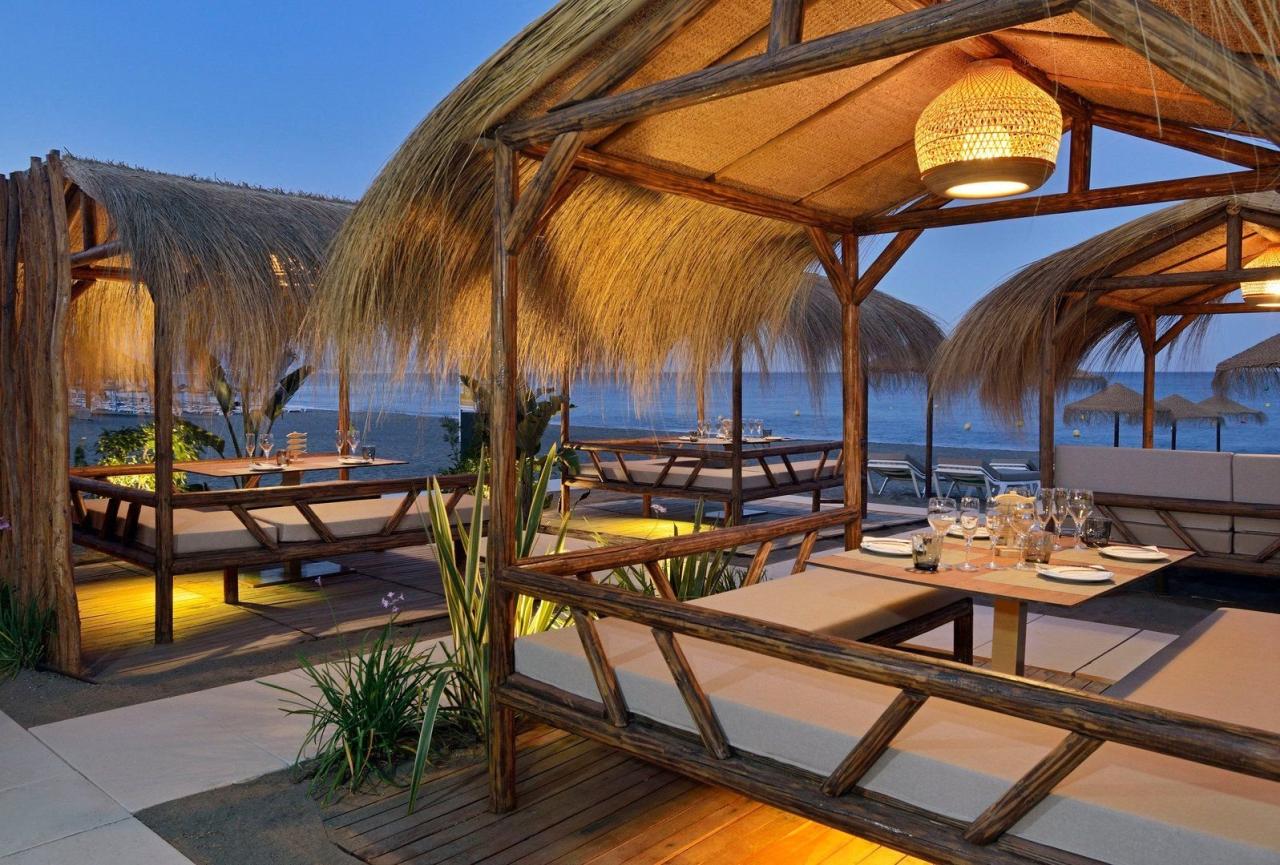 Hotel Melia Costa Del Sol