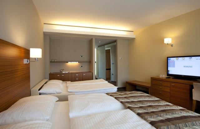 Hotel ECO Bohinjska Bistrica