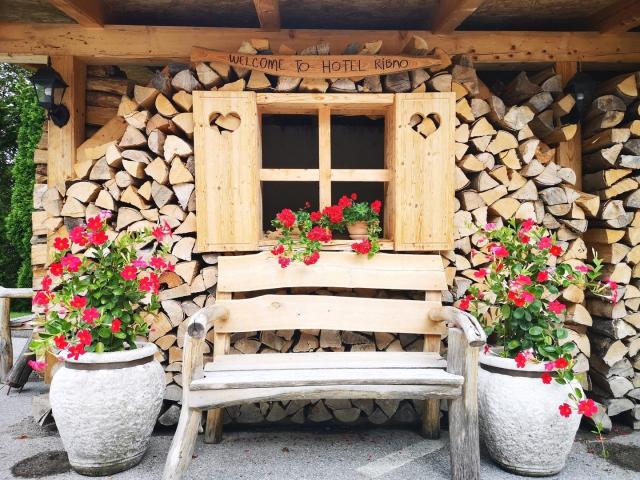 Ribno Alpine Hotel