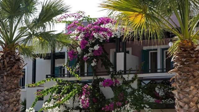 Rose Bay Hotel