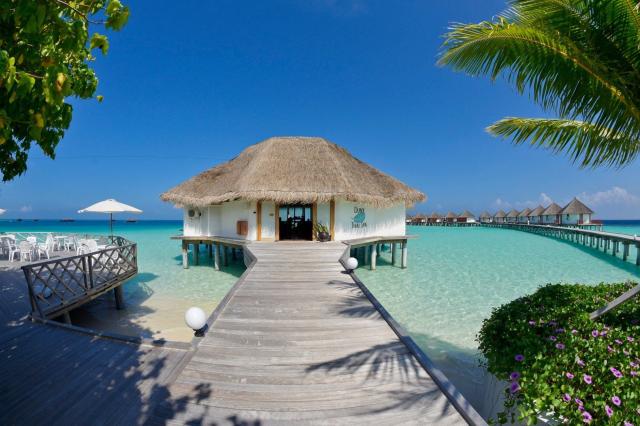 Safari Island Resort