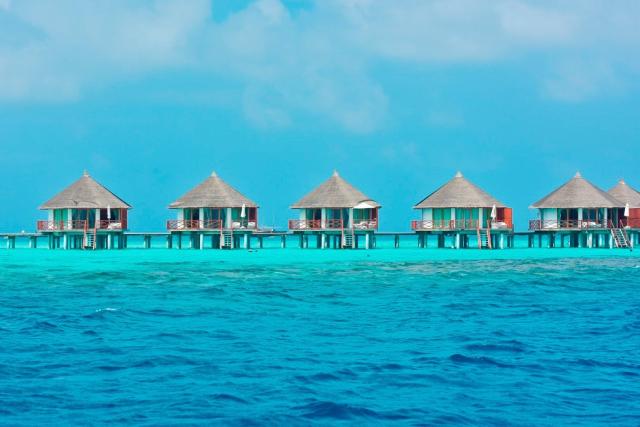Safari Island Resort