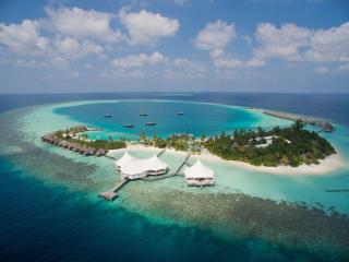 Safari Island Resort