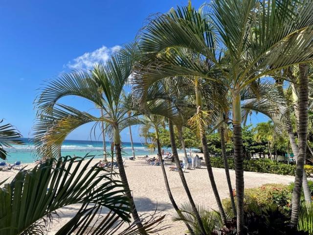 Coconut Court Beach Hotel