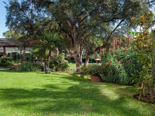 Hotel Gran Melia Don Pepe