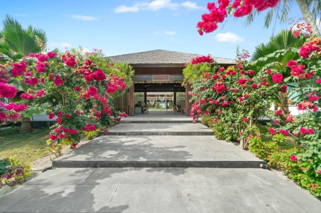 The Barefoot Eco Hotel