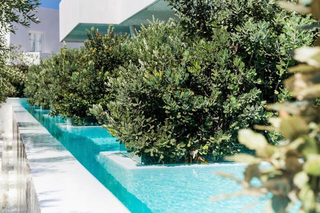 Mykonos Dove Beach Hotel