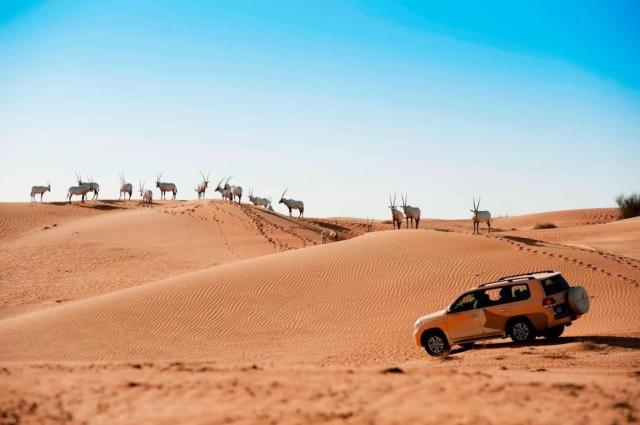 Al Maha, a Luxury Collection Desert Resort & Spa