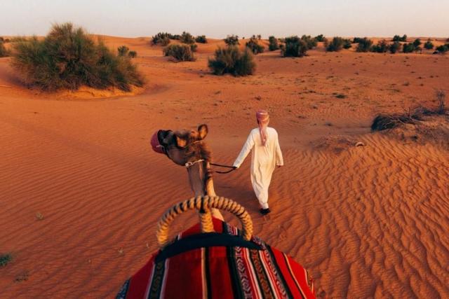 Al Maha, a Luxury Collection Desert Resort & Spa