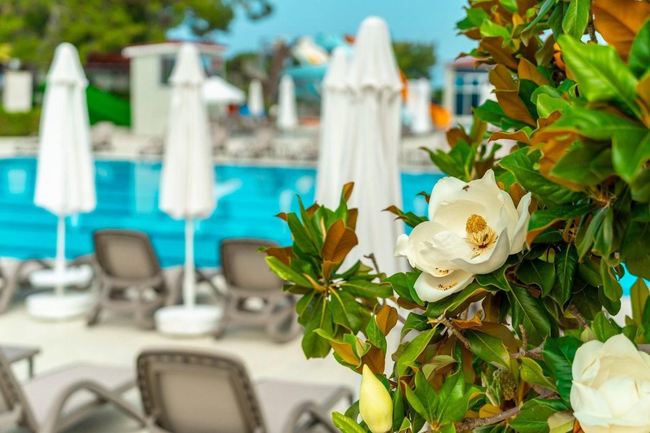 Hotel Casa Fora Beach Resort