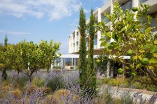 Vincci EverEden Beach Resort Hotel & Spa