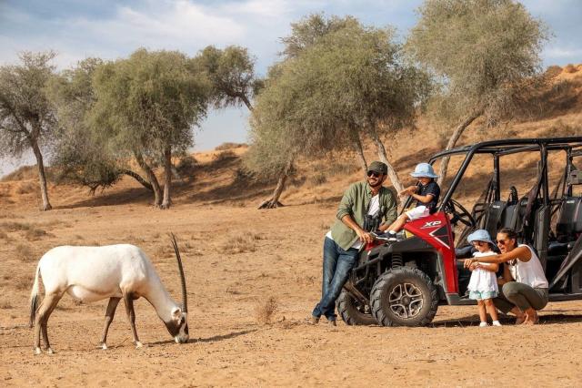Hotel The Ritz Carlton Al Wadi Desert