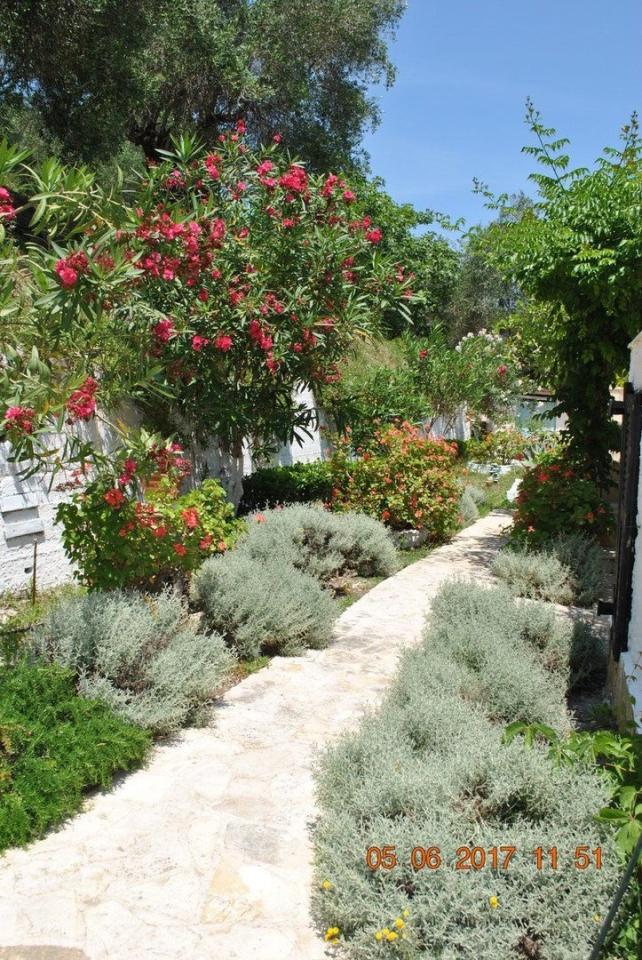 Helios Splendid Boukari
