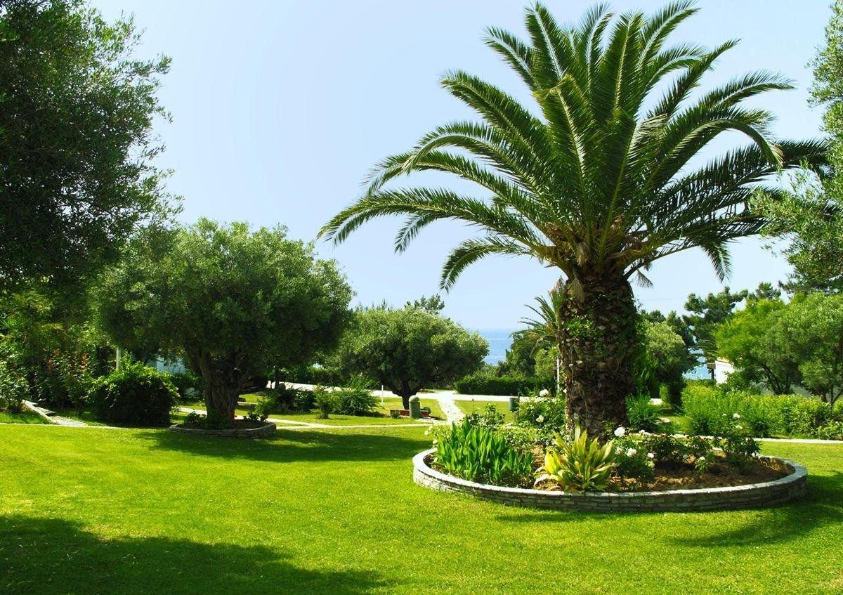 Trikorfo Beach Villas