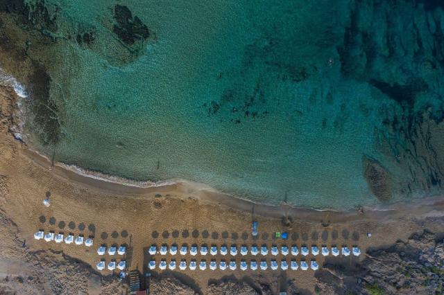 Hotel Venus Beach