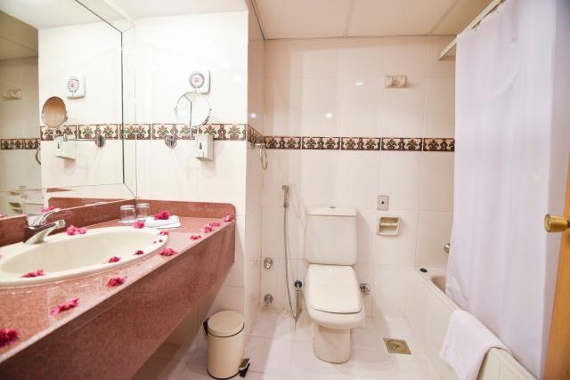 Hotel Alexander the Great Resort