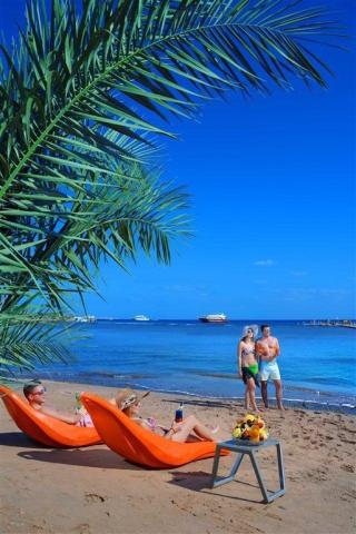 Hotel Pickalbatros - Albatros Palace Resort
