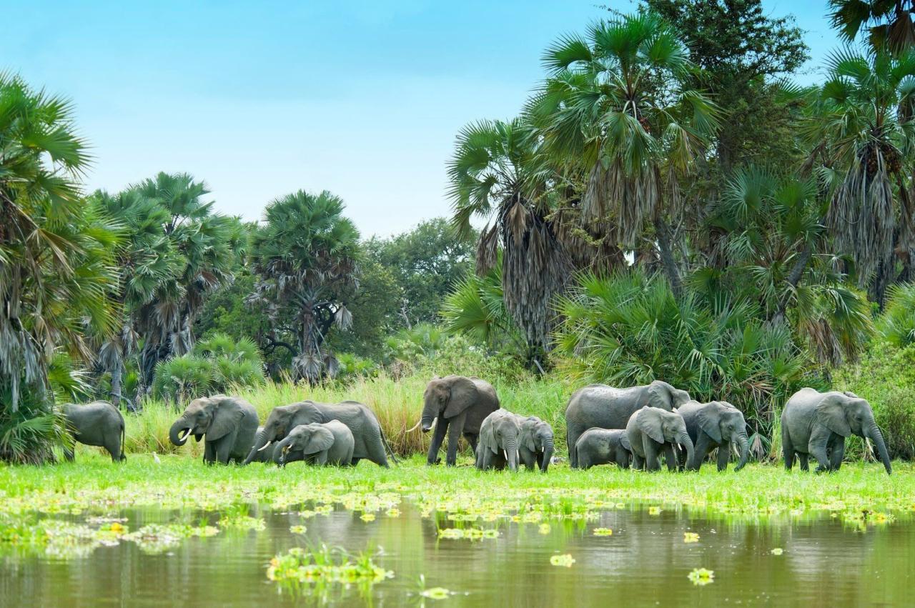 Divoká příroda Afriky & Hotel Sansi Kae Beach Resort & SPA