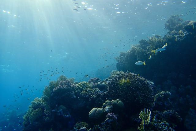Plavba po Nilu z Marsa Alam
