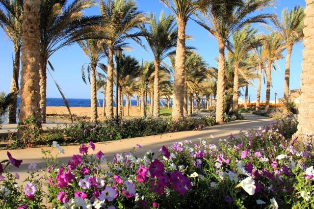 Hotel Royal Brayka Beach Resort
