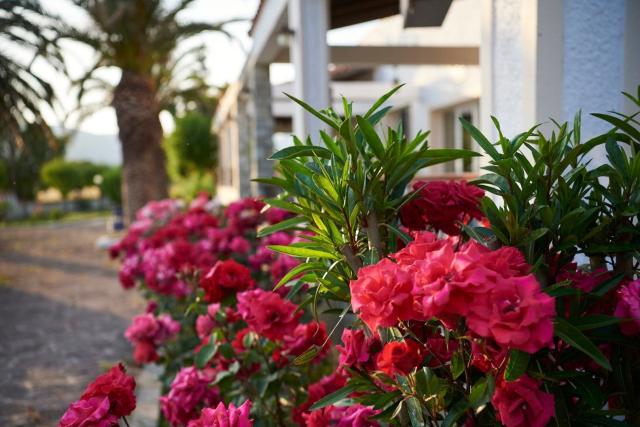 Hotel Kalloni Bay