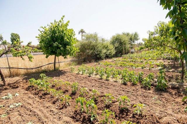 Hotel Malemi Organic