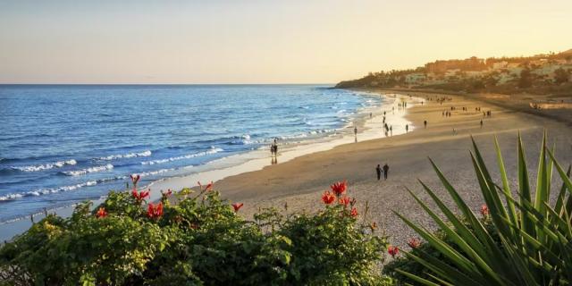 Occidental Jandía Playa