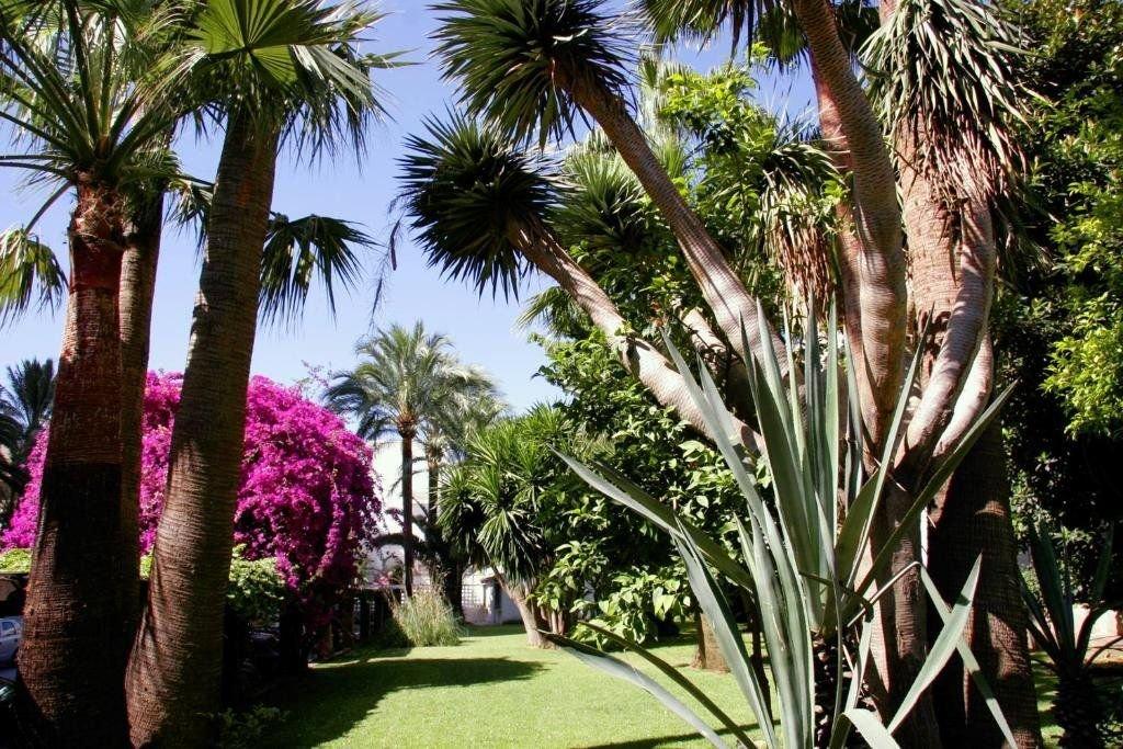 Hotel Bajondillo Aptos