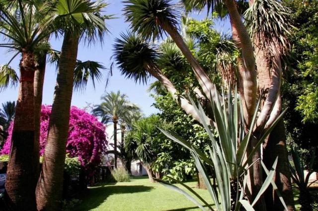 Hotel Bajondillo Aptos