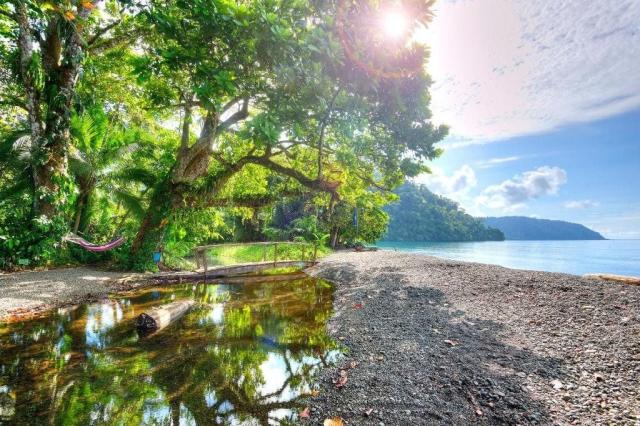 Hotel Playa Nicuesa Rainforest Lodge
