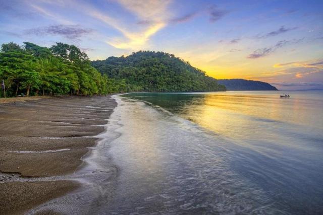 Hotel Playa Nicuesa Rainforest Lodge