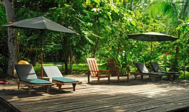 Hotel Playa Nicuesa Rainforest Lodge