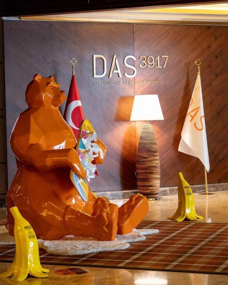 Hotel Das 3917