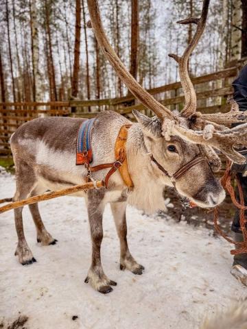Advent v Santově vesničce