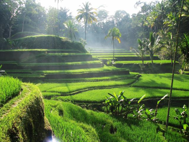 Na Bali k moři i do vnitrozemí