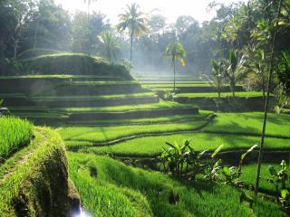 Na Bali k moři i do vnitrozemí