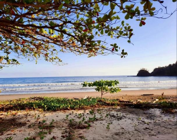 Punta Islita, Autograph Collection