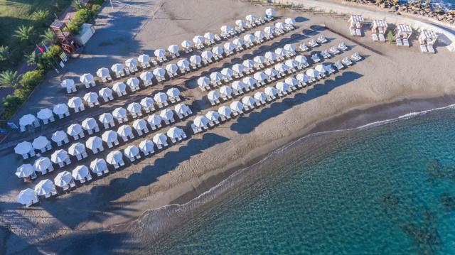 Hotel Gold Island Family